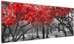 Mivali Tablou - Copaci roșii, Central Park, New York, dintr-o bucată 145x58 cm (V023117V14558)