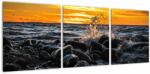 Mivali Tablou cu mare, din trei bucăți 90x30 cm (V020259V9030)