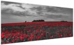 Mivali Tablou cu maci, dintr-o bucată 250x125 cm (V020987V250125)