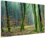 Mivali Tablou cu pădure, dintr-o bucată 120x80 cm (V020904V12080)