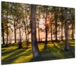 Mivali Tablou cu pomi lângă lac, dintr-o bucată 100x70 cm (V020839V10070)