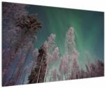 Mivali Tablou cu aurora borealis deasupra pomilor înghețați, dintr-o bucată 120x80 cm (V021684V12080)