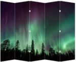 Mivali Paravan - Northern Lights, din 5 bucăți, 210x170 cm (P021103P225180)