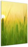 Mivali Tablou - Câmp cu cereale, dintr-o bucată 50x70 cm (V022545V5070)