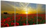 Mivali Tablou cu câmp cu maci, din patru bucăți 160x80 cm (V020986V16080)