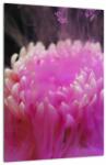Mivali Tablou cu floare în fum roz, dintr-o bucată 30x40 cm (V020433V3040)