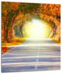 Mivali Tablou pe sticlă - Poarta din copaci, dintr-o bucată 30x30 cm pe sticlă (V022002V3030GD)