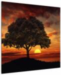Mivali Tablou cu pomi și apus de soare, dintr-o bucată 70x70 cm (V022122V7070)