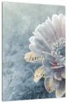 Mivali Tablou - Floare de iarnă, dintr-o bucată 30x40 cm (V023210V3040)