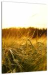 Mivali Tablou iarba cu rouă, dintr-o bucată 30x40 cm (V020584V3040)