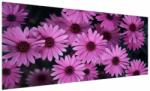 Mivali Tablou cu florile roz, dintr-o bucată 250x125 cm (V020923V250125)