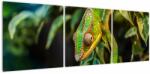 Mivali Tablou cu cameleon, din trei bucăți 120x40 cm (V021236V12040)