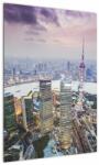 Mivali Tablou - Shanghai, China, dintr-o bucată 50x70 cm (V023346V5070)
