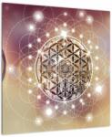 Mivali Tablou - Mandala cu elemente, dintr-o bucată 50x50 cm (V022953V5050)