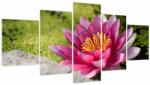 Mivali Tablou - Lotus (cu ceas), din cinci bucăți 150x80 cm cu ceas (V021330V15080C)