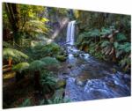 Mivali Tablou cu pădurea ploilor din Austalia, dintr-o bucată 120x80 cm (V021687V12080)