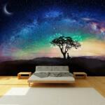 Mivali Fototapet - Aurora și copaci, vlies, 98x68 cm (T100194TQ2)