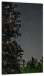 Mivali Tablou cu cerul nocturn, dintr-o bucată 20x30 cm (V020998V2030)