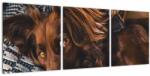 Mivali Tablou cu câini dormind, din trei bucăți 90x30 cm (V020897V9030)