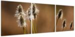 Mivali Tablou - Iarbă, din trei bucăți 120x40 cm (V023885V12040)