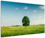 Mivali Tablu - Copac în luncă, dintr-o bucată 120x80 cm (V022558V12080)