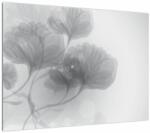 Mivali Tablou pe sticlă - Flori în nuanțe gri, dintr-o bucată 70x50 cm pe sticlă (V023551V7050GD)