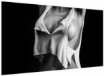 Mivali Tablou - Nud feminin, dintr-o bucată 120x70 cm (V024029V12070)