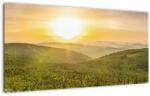 Mivali Tablou pe sticlă panoramatic, dintr-o bucată 100x50 cm pe sticlă (V021002V10050GD)