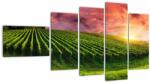 Mivali Tablou cu vie cu cerul color, din cinci bucăți 110x60 cm (V020336V11060)