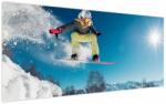 Mivali Tablou - Snowboarder, dintr-o bucată 120x50 cm (V023875V12050)