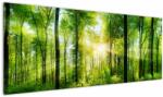 Mivali Tablou - Răsărit în pădure, dintr-o bucată 145x58 cm (V022345V14558)