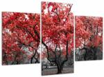 Mivali Tablou - Copacii roșii, Central Park, New York, din trei bucăți 90x60 cm (V022930V90603PCS)