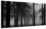 Mivali Tablou pe sticlă - Pădure în ceață, dintr-o bucată 100x50 cm pe sticlă (V023566V10050GD)