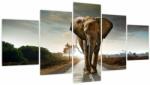 Mivali Tablou cu elefant (cu ceas), din cinci bucăți 150x80 cm cu ceas (V022219V15080C)