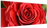 Mivali Tablou - Flori de trandafir, dintr-o bucată 100x40 cm (V022563V10040)