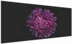 Mivali Tablou cu floare violetă, dintr-o bucată 250x125 cm (V020427V250125)