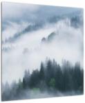 Mivali Tablou - Copacii în ceață, dintr-o bucată 50x50 cm (V022383V5050)
