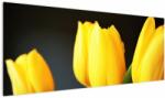 Mivali Tablou cu lalele, dintr-o bucată 145x58 cm (V020187V14558)