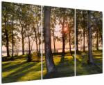Mivali Tablou cu pomi lângă lac, din trei bucăți 120x80 cm (V020839V120803PCS)