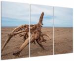 Mivali Tablou - Inundație de mare, din trei bucăți 120x80 cm (V021662V120803PCS)