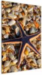 Mivali Tablou cu stea de mare, dintr-o bucată 60x90 cm (V020652V6090)