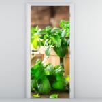 Mivali Fototapet pentru ușă - Menta proaspătă (D020703D95205)