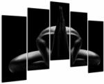 Mivali Tablou cu nud feminin, din cinci bucăți 125x90 cm (V020804V12590)