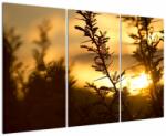 Mivali Tablou - Apus de soare, din trei bucăți 120x80 cm (V022620V120803PCS)