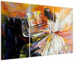 Mivali Tablou - Femeia cântând la pian, din trei bucăți 120x80 cm (V023232V120803PCS)