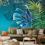 Mivali Fototapet - Frunzele plantelor tropicale, vlies, 294x204 cm (T100475TQ6)