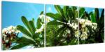 Mivali Tablou - Plumeria, din trei bucăți 120x40 cm (V021519V12040)
