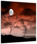 Mivali Tablou - Luna luminează noaptea, dintr-o bucată 40x40 cm (V021931V4040)