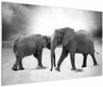 Mivali Tablou - eefanții alb negri, dintr-o bucată 120x80 cm (V020398V12080)
