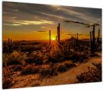 Mivali Tablou pe sticlă - Sfărșit de zi în deșertul Arizona, dintr-o bucată 70x50 cm pe sticlă (V021638V7050GD)